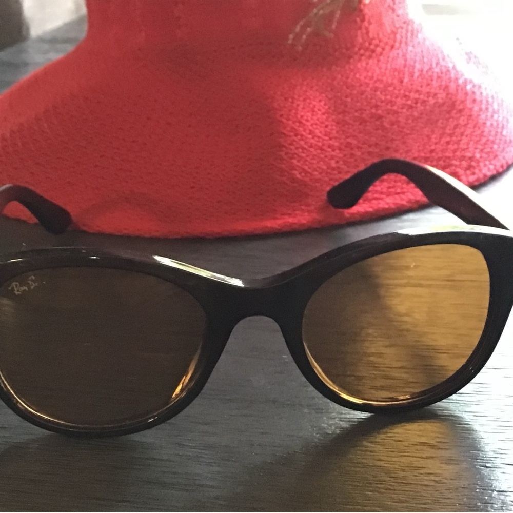Ray Ban - Gently Used - Wayfarers- Brown Frame - Brown Tint